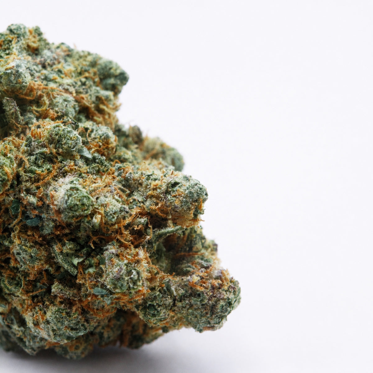Blue Skunk