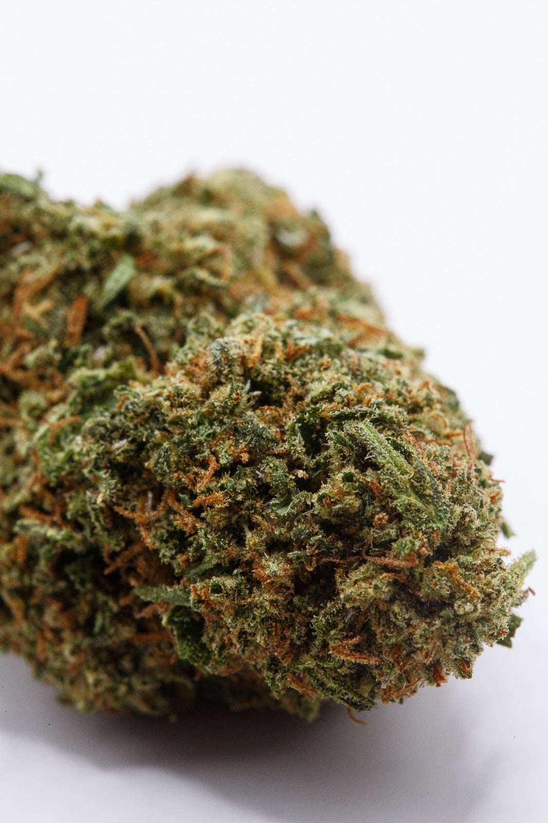 California Kush