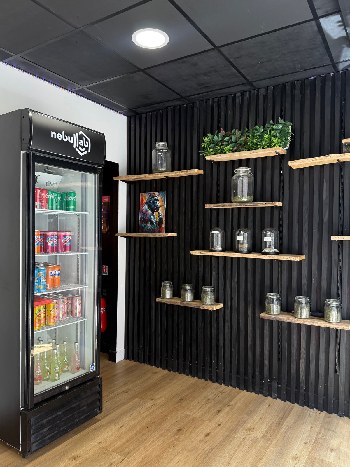 Boutique Nebullab à Lagny-sur-Marne
