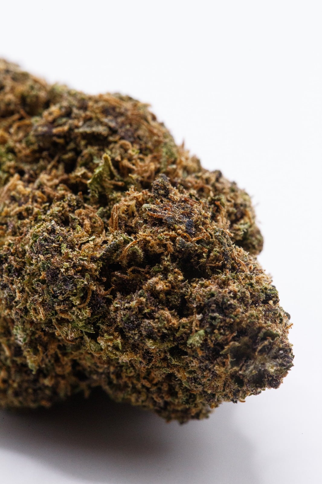 Purple Kush