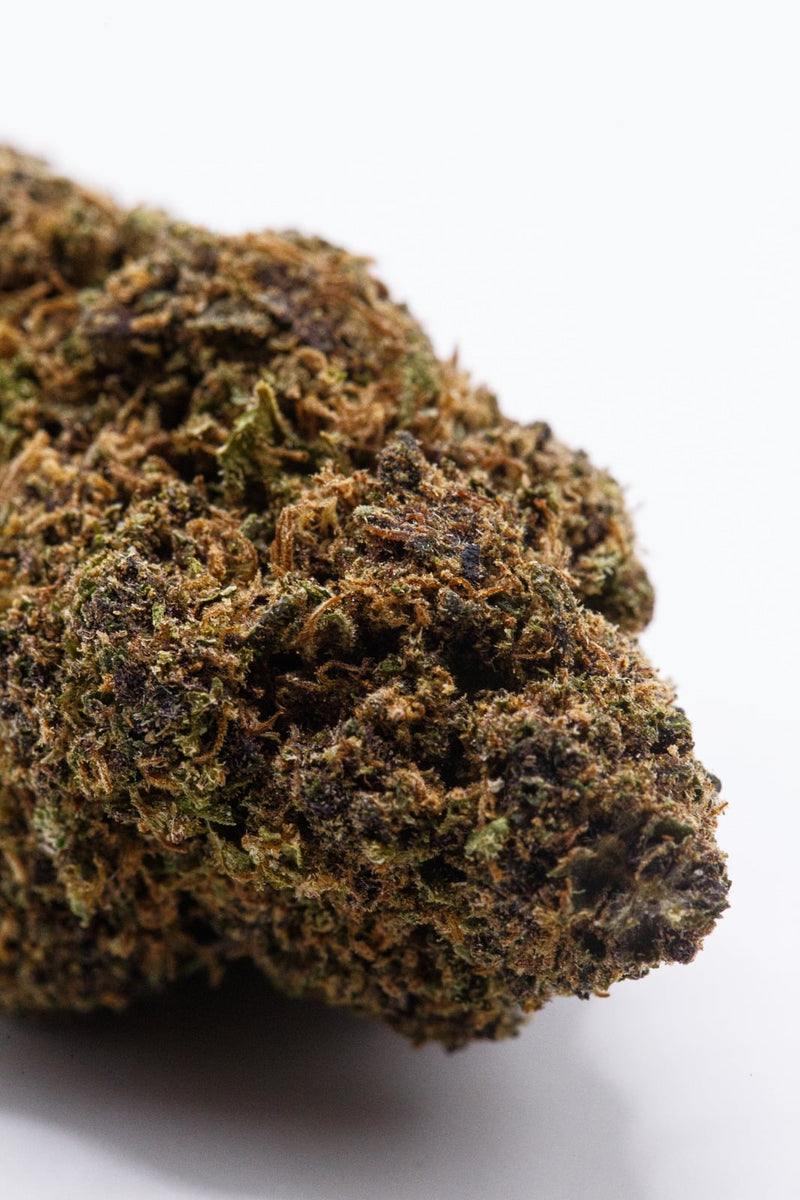 Purple Kush