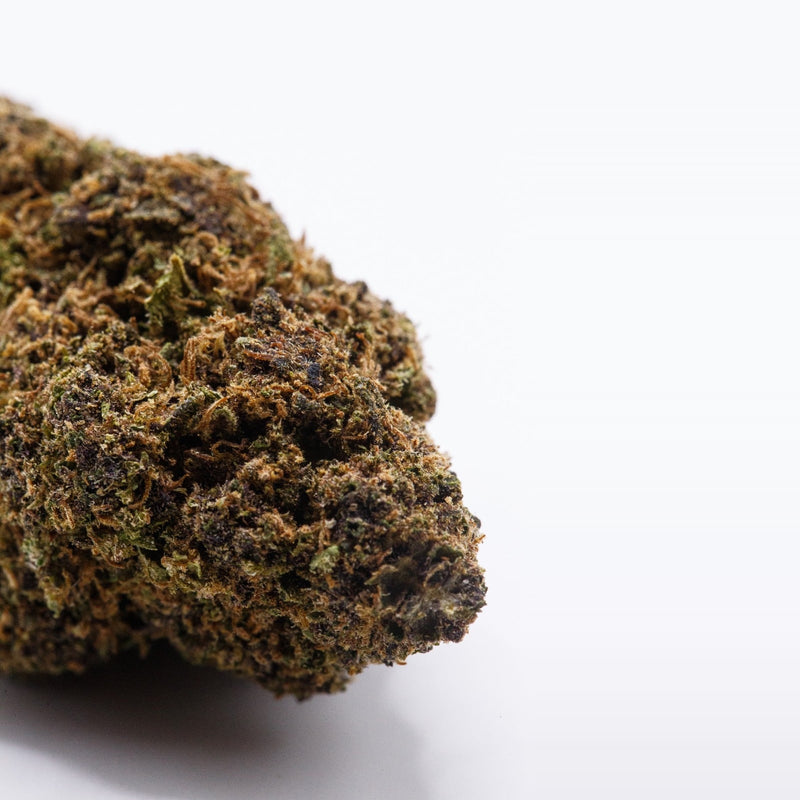 Purple Kush