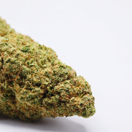 Tropical Sherbet